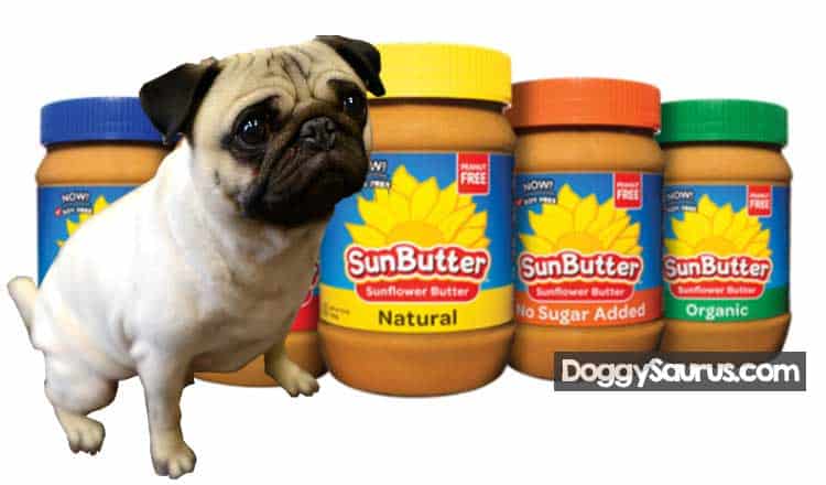 can dogs have butter