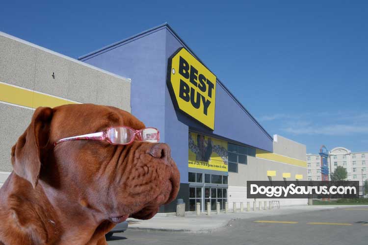 Best buy 2025 allow dogs