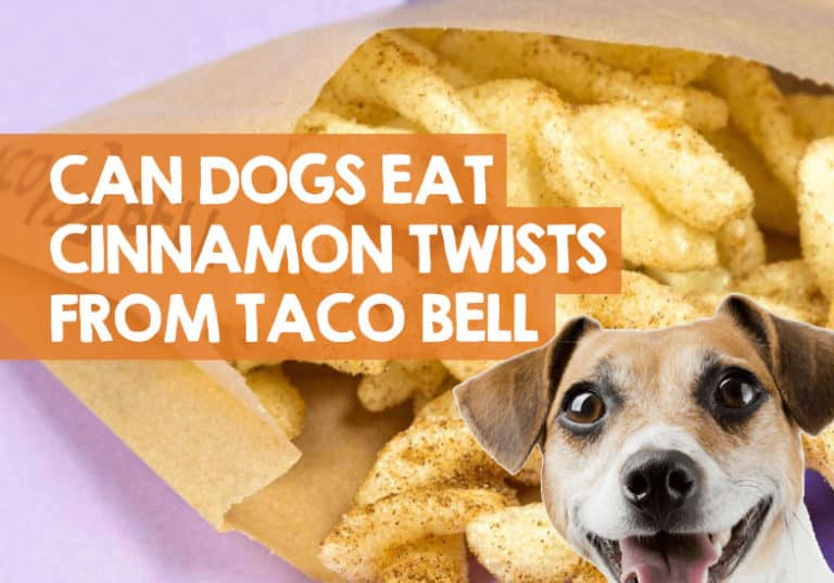 Can Dogs Eat Cinnamon Twists from Taco Bell? + Calorie Levels