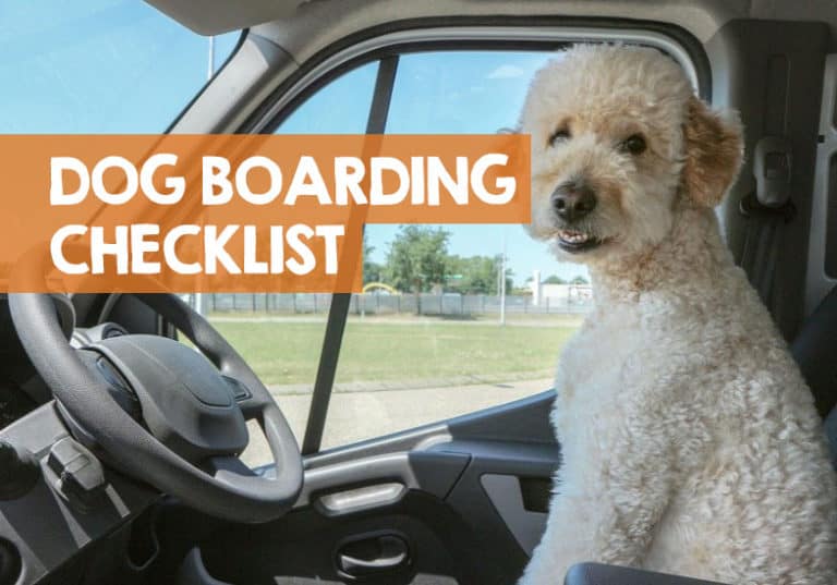 Dog Boarding Checklist + What You Need to Bring to Make it Easy