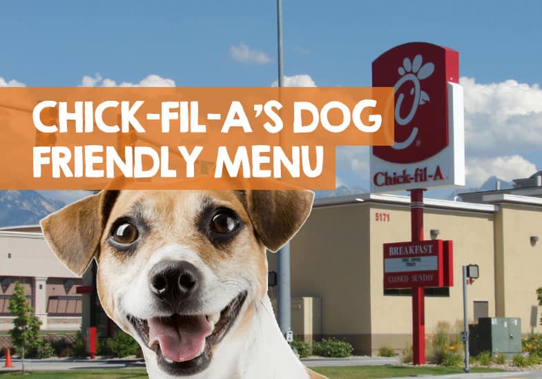 does chick fil a have dog treats