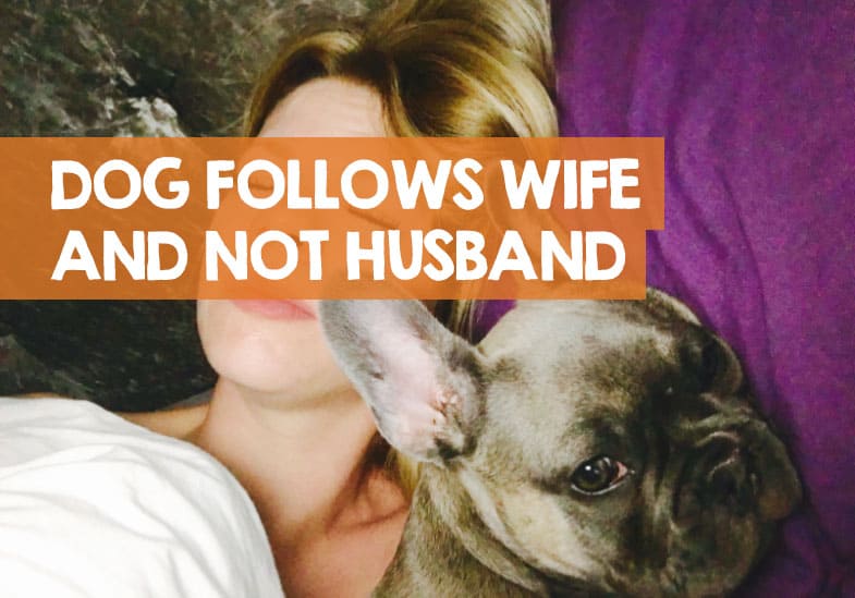 Why Does My Dog Follow Me and Not My Husband? (Interesting!) picture