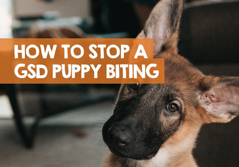 how to stop german shepherd from biting