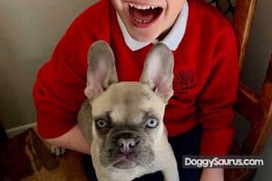 Puppy Growls When Picked Up (+ How to Stop)