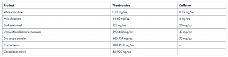 Picture of How Much Chocolate Can Kill a Dog? (Chart in Grams / Ounces)